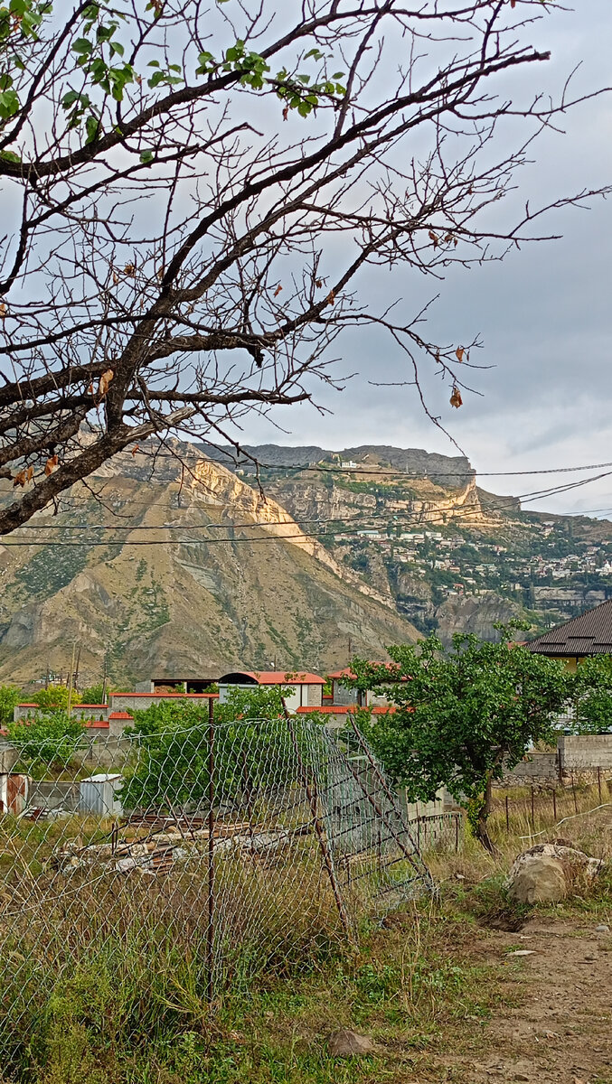 Выйдя из ворот дома, видишь такой вид