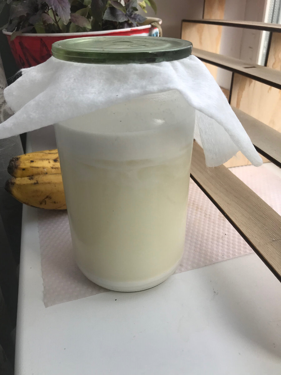 Из 100 грамм орехов - 1 литр молока