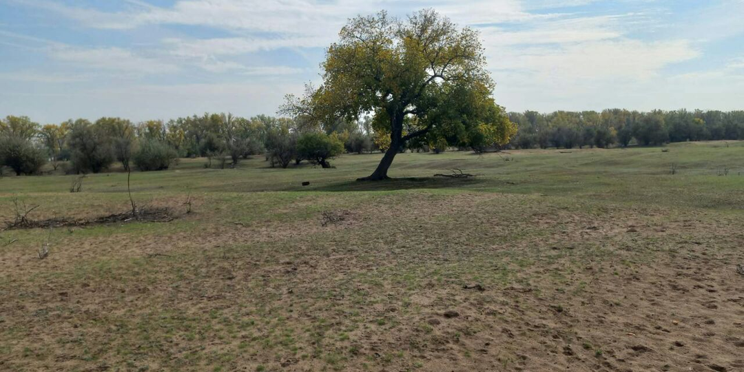 Настоящая мама. Глава 1.