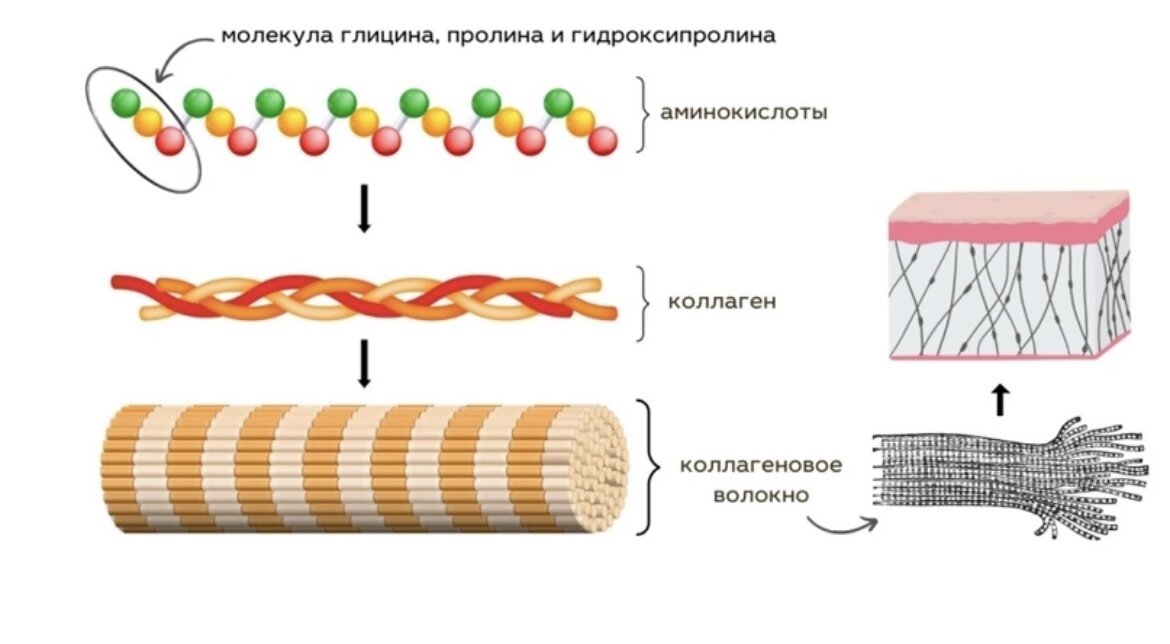 Стретчинг: польза, вред, правила