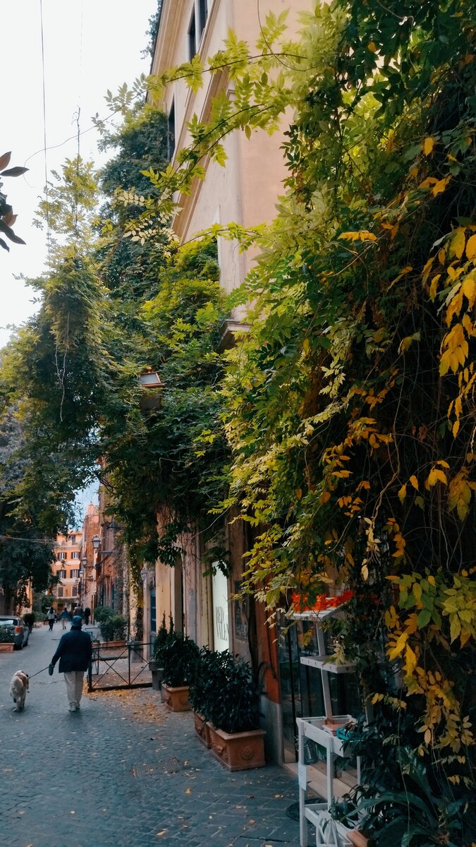 Рим, via Margutta. Фото автора 
