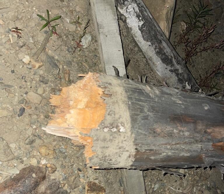    Фото: СУ СКР по Свердловской области