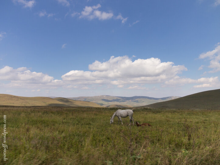 1. Навител посчитал, что Долина Нарзанов на несколько часов ближе чем Безенги. Проложил маршрут, который в первом приближении был похож на правду (с выездом на трассу “Кавказ”) и последующим уходом в соседнее ущелье. Двинули.