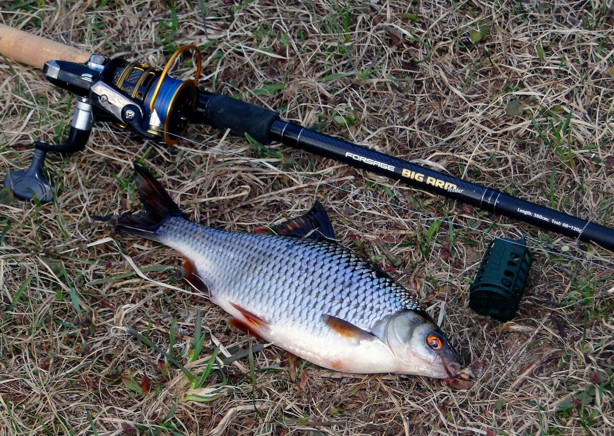 К примеру, тут намотан Pontoon 21 Exteer Away Dist WX 4