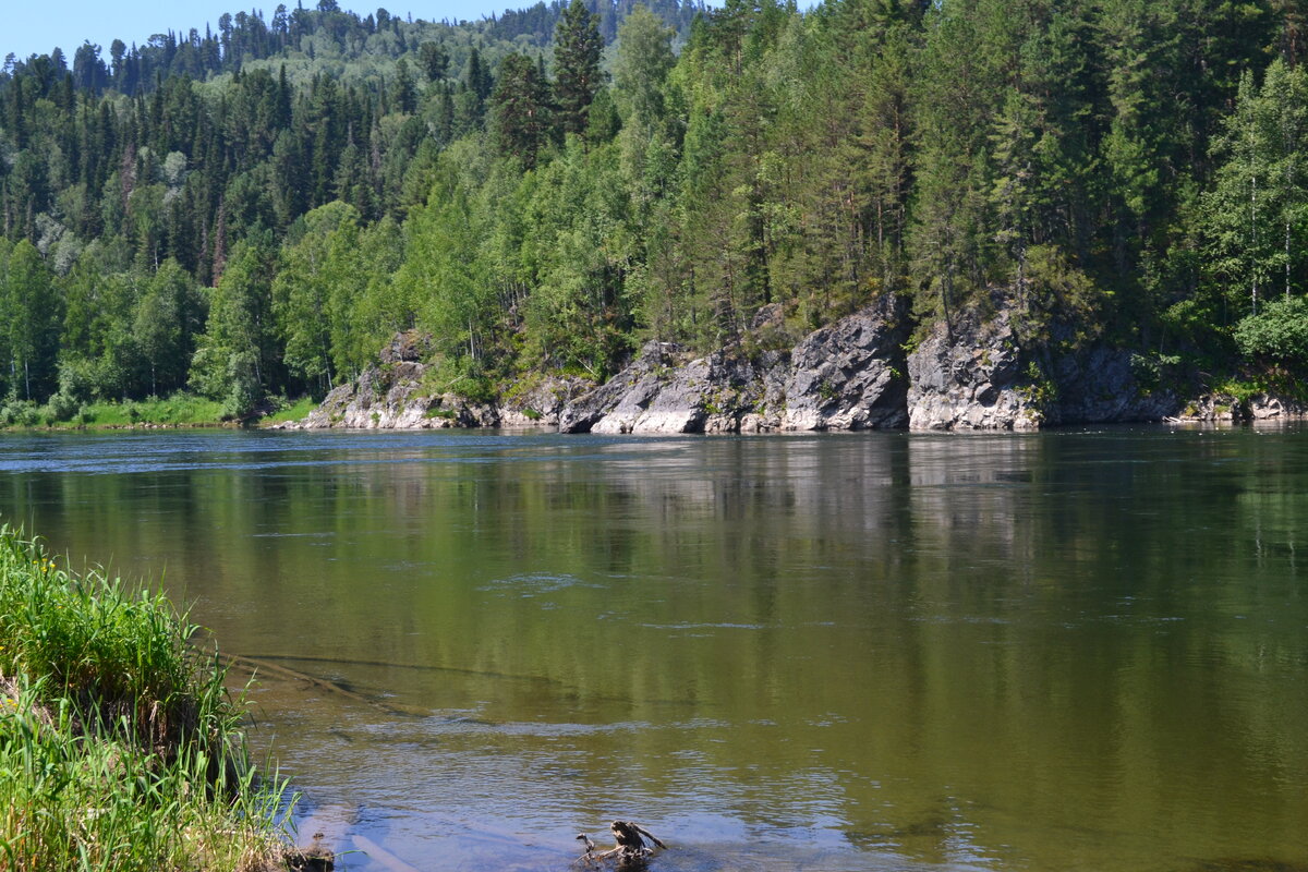 Река лебедь турочакский район фото