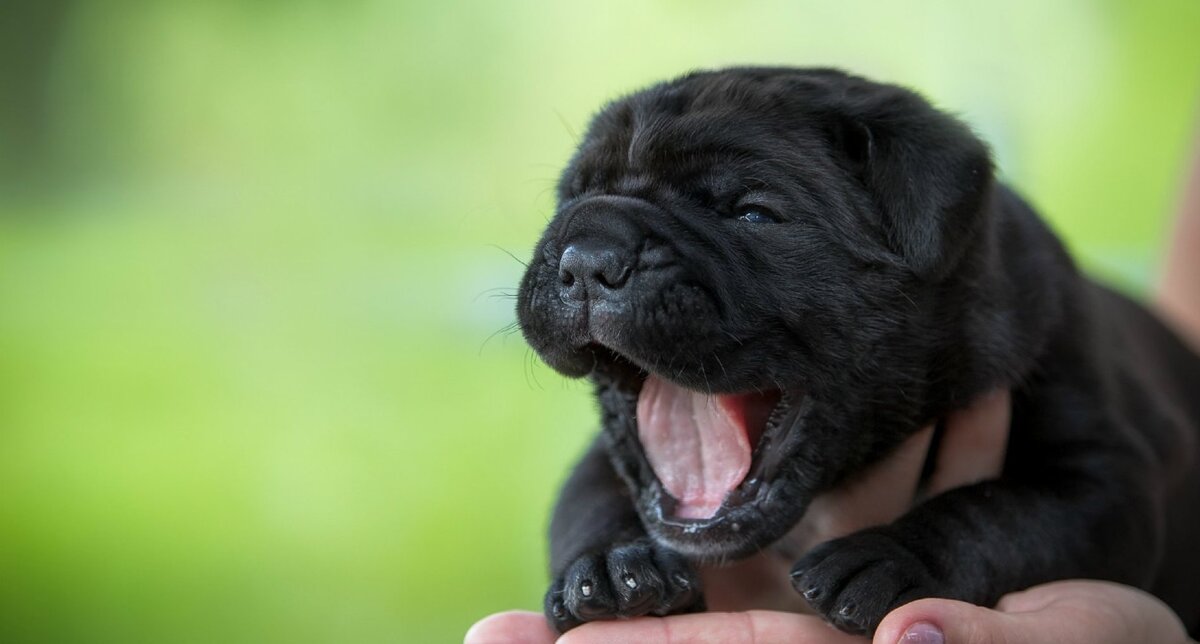 источник: million-wallpapers.ru