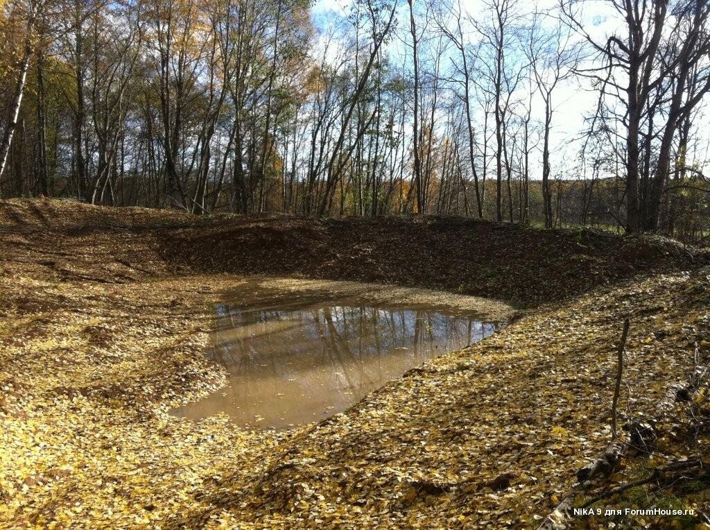 Типы водоемов, какой выбрать? Большая статья