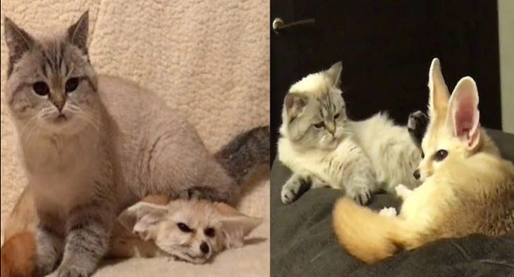 Раз и навсегда 