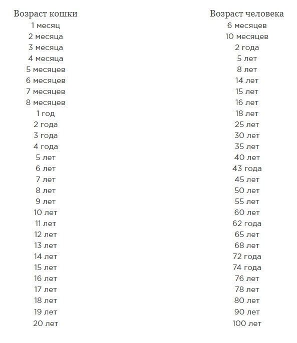 Как определить год кота. Сколько лет кошке по человеческим меркам таблица. Кошачий Возраст на человеческий таблица по годам. Таблица определения возраста кошек. Возраст кота по человеческим меркам таблица по месяцам.