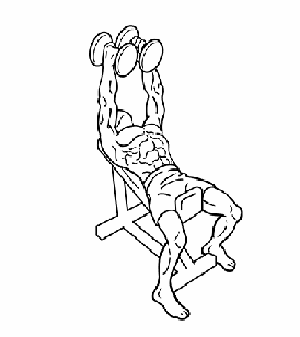 Возьмите снаряды и поставьте их на колени вертикально. 
Откиньтесь назад, приподнимите колени и ухватитесь за гантели.
Ноги сдвиньте к краю скамьи, при таком положении тела удастся избежать ненужного прогиба в пояснице, который перераспределяет сфокусированную нагрузку с торса и искажает результат.
Поднимите руки вертикально и проконтролируйте их местоположение. 
Важно, чтобы они располагались на линии плеч и были присогнуты в локтях.
Напрягите мышцы кора и разведите гантели в противоположные стороны, не переступая границу, когда приятное растяжение сменяется дискомфортом.
Сведите руки обратно в исходное положение.