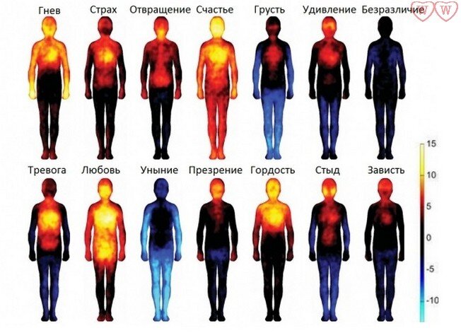 Температура тела и эмоциональное состояние находятся в зависимости друг от друга