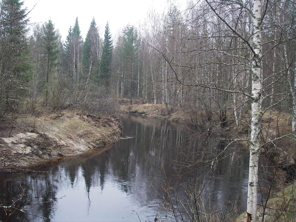 Вебкамеры на реке кондоба. Река Лесная Веркуша. Лесная речка Архангельск. Полевая Веркуша. Фото Кондоба село.