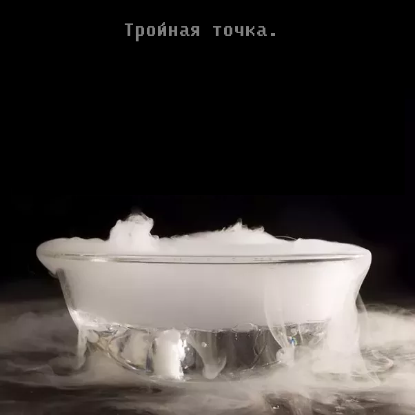 фото www.quora.com