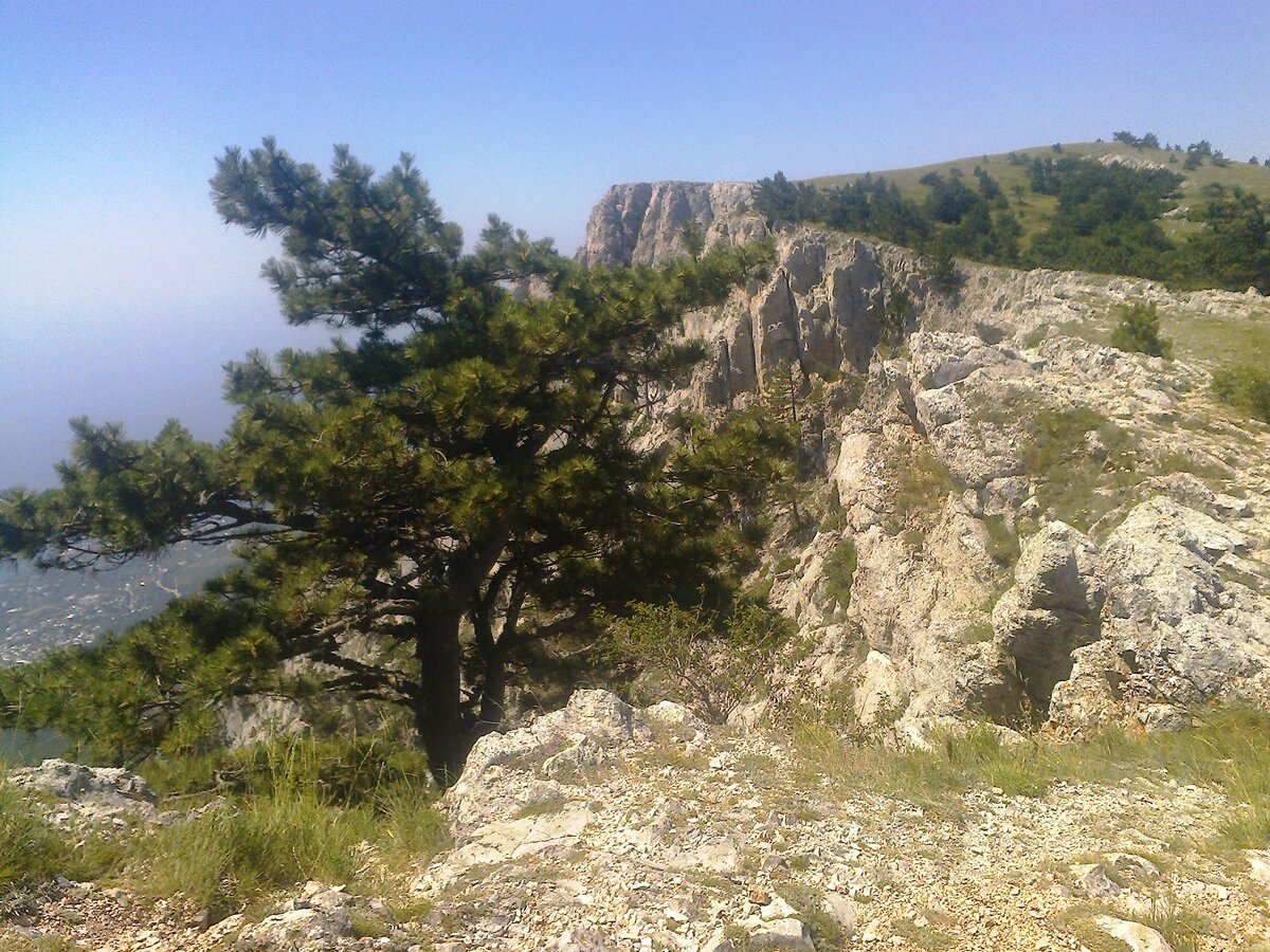 Улица ай Петри Севастополь