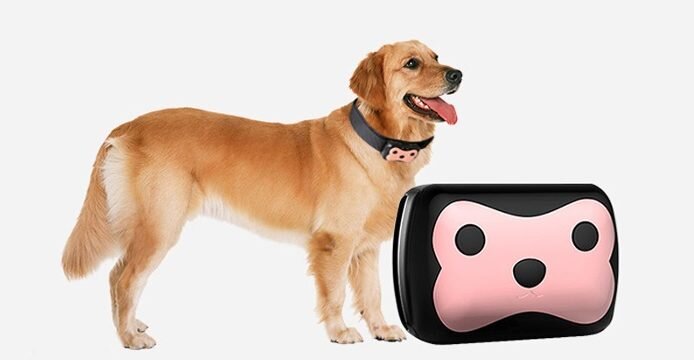 D69 pet locator hotsell