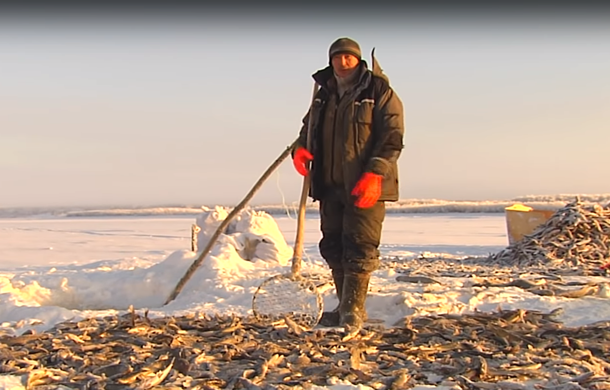  Каждый год  течение приносит мёртвую воду 
