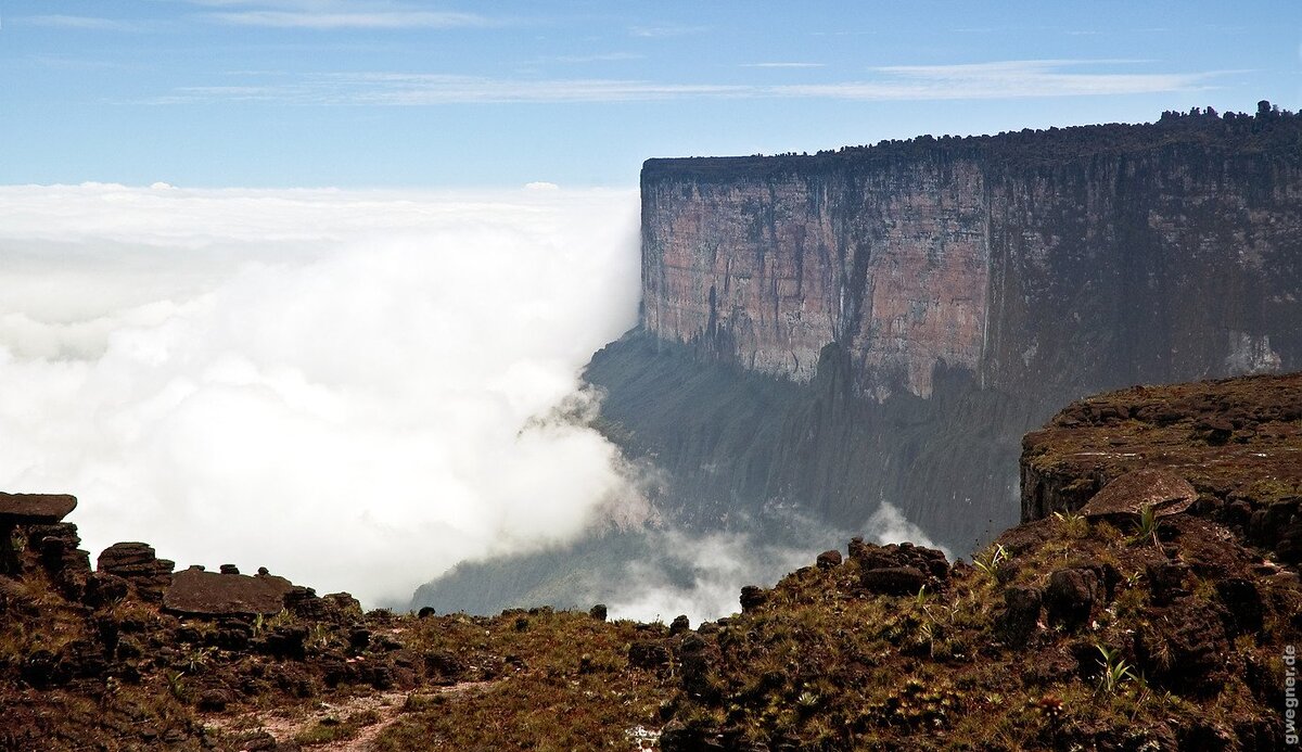 Ты уже дочитал статью до середины? Поставь лайк и подпишись на канал, не пропускай новые статьи!