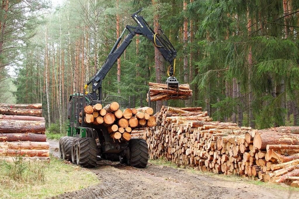 Заготовка древесины для мебели