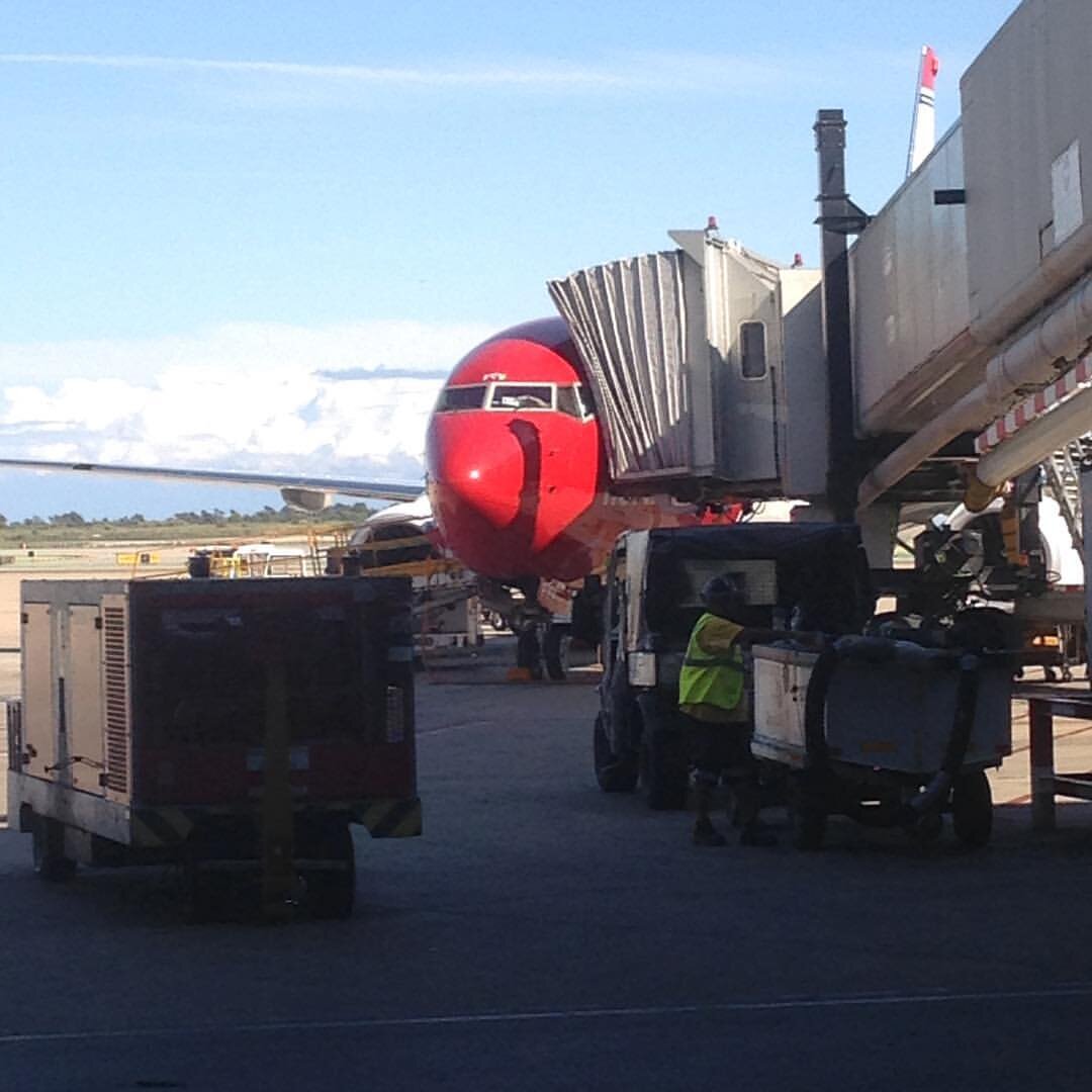 Да, хочу улететь от них на самолете далеко, туда, где тепло, хотя бы на недельку!