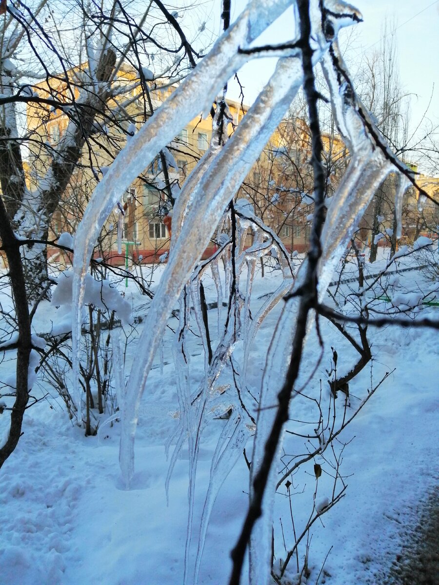 все ли гармонично в природе