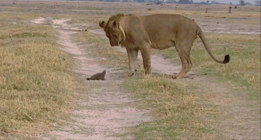 - Ну чё ты, чё ты !.................... - Наклонись, я не дотягиваюсь, поцеловать тебя хочу. 