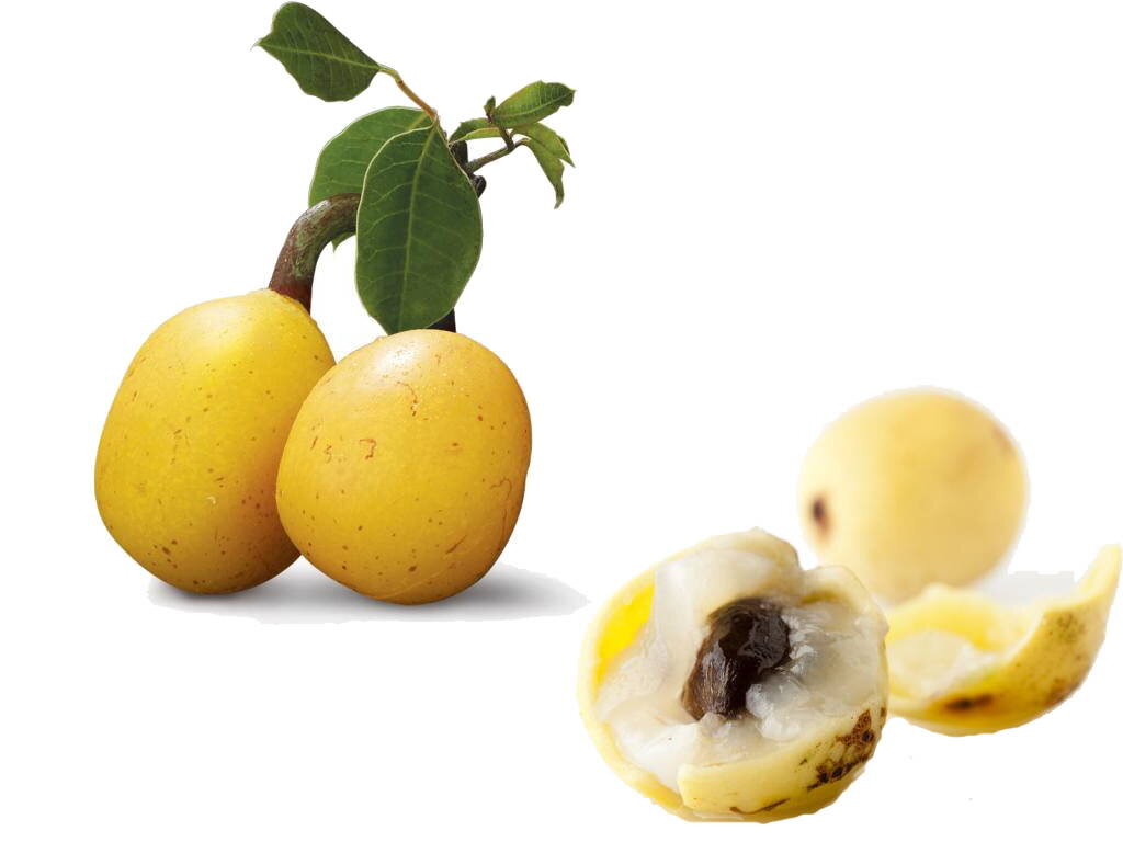 Взято на сайте прожизнь.рф