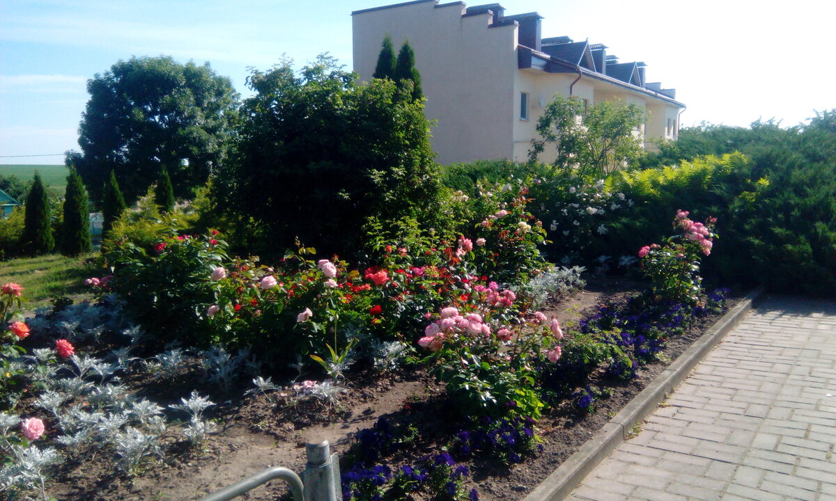 Наш агрогородок.