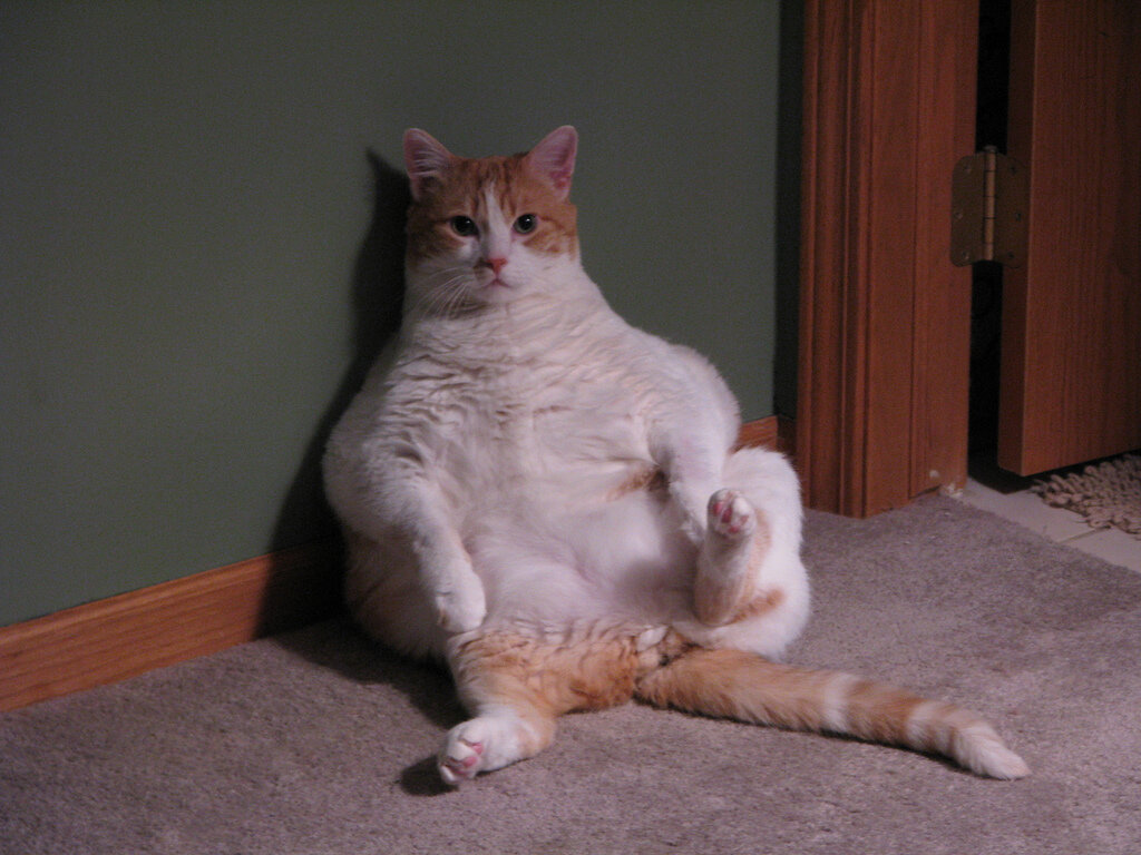 Источник https://www.google.ru/url?