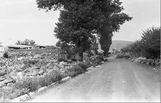 Рис. 1. Ширакамут на въезде с запада (лето 1989 г.)