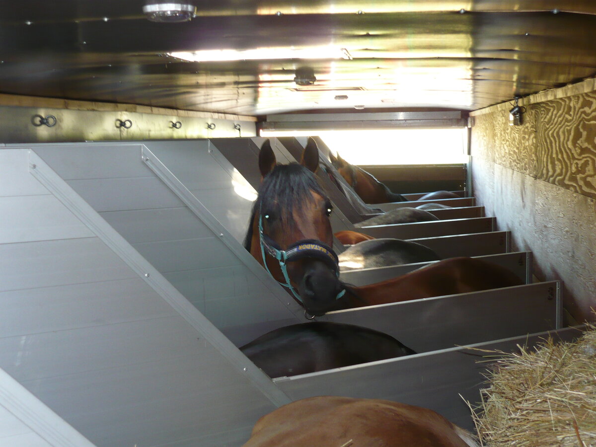 Источник фото сервис Яндекс.Картинки