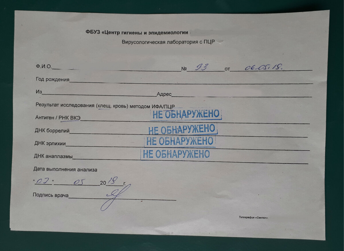 Анализ клещей спб. Направление на исследование клеща. Направление на анализы. Исследование клеща на инфекции результат.