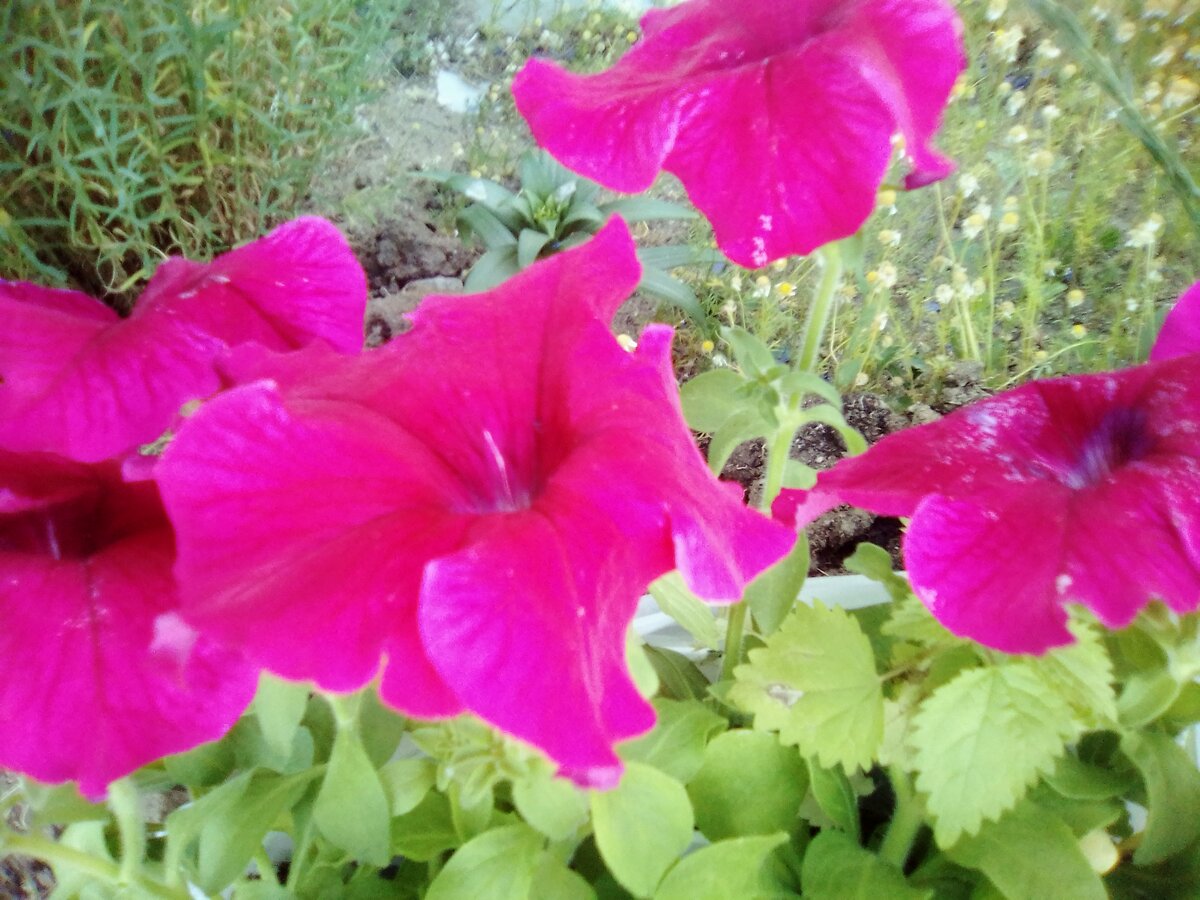 авторское фото
