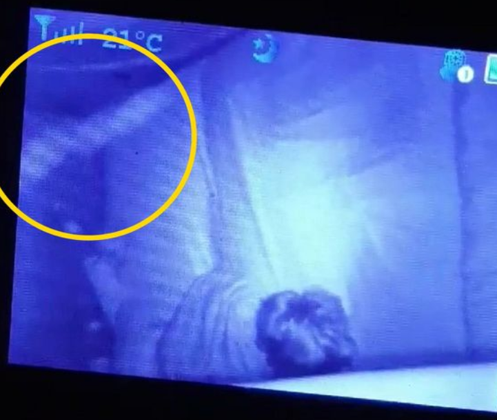 "Рука" обведена кружком