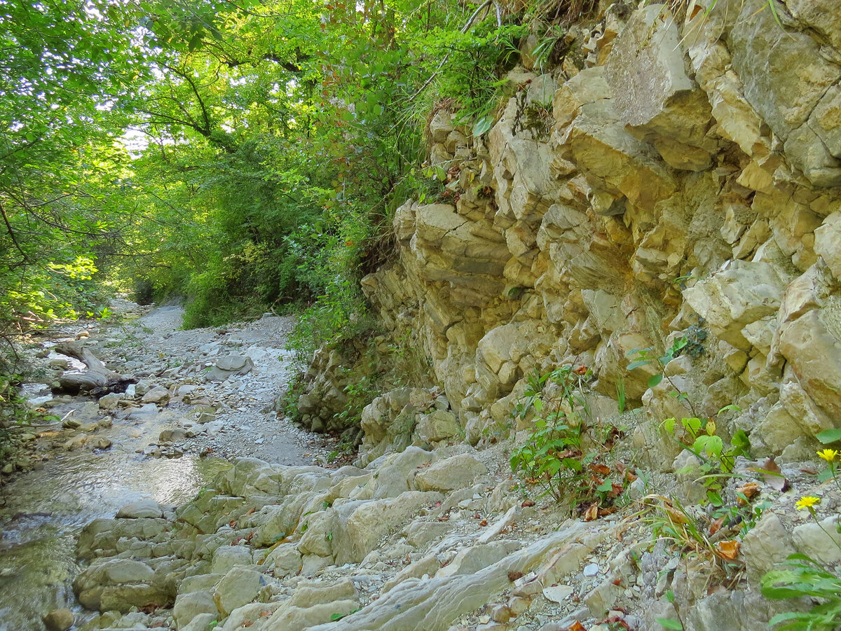Ущелье реки Бжид само по себе тоже весьма живописно.