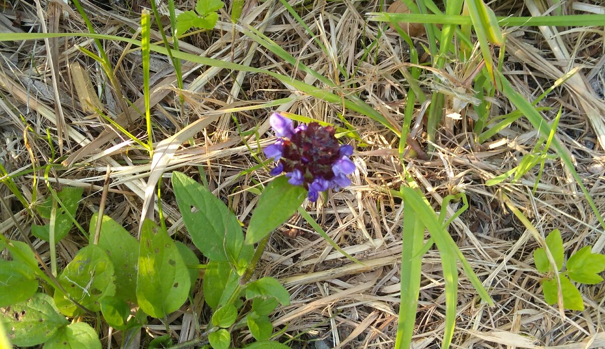 Источник: фото автора