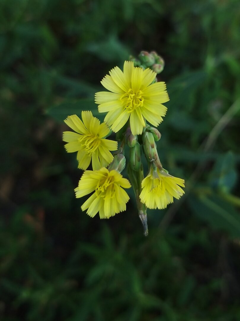                                                                                                 Фото  автора статьи                                                       