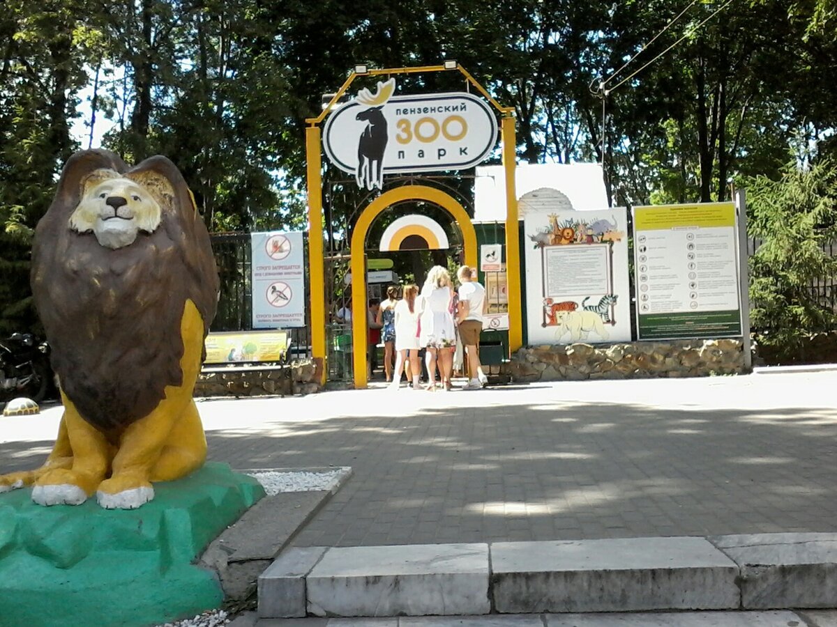 Пензенский зоопарк сайт. Пензенский зоопарк Пенза. Площадь зоопарка в Пензе. Зоопарк Пенза ул красная 10. Пензенский зоопарк Пенза лето.