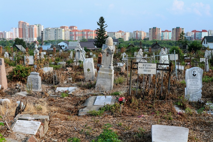 В родительский день в Омске откроют для посещения 11 городских кладбищ - Новости