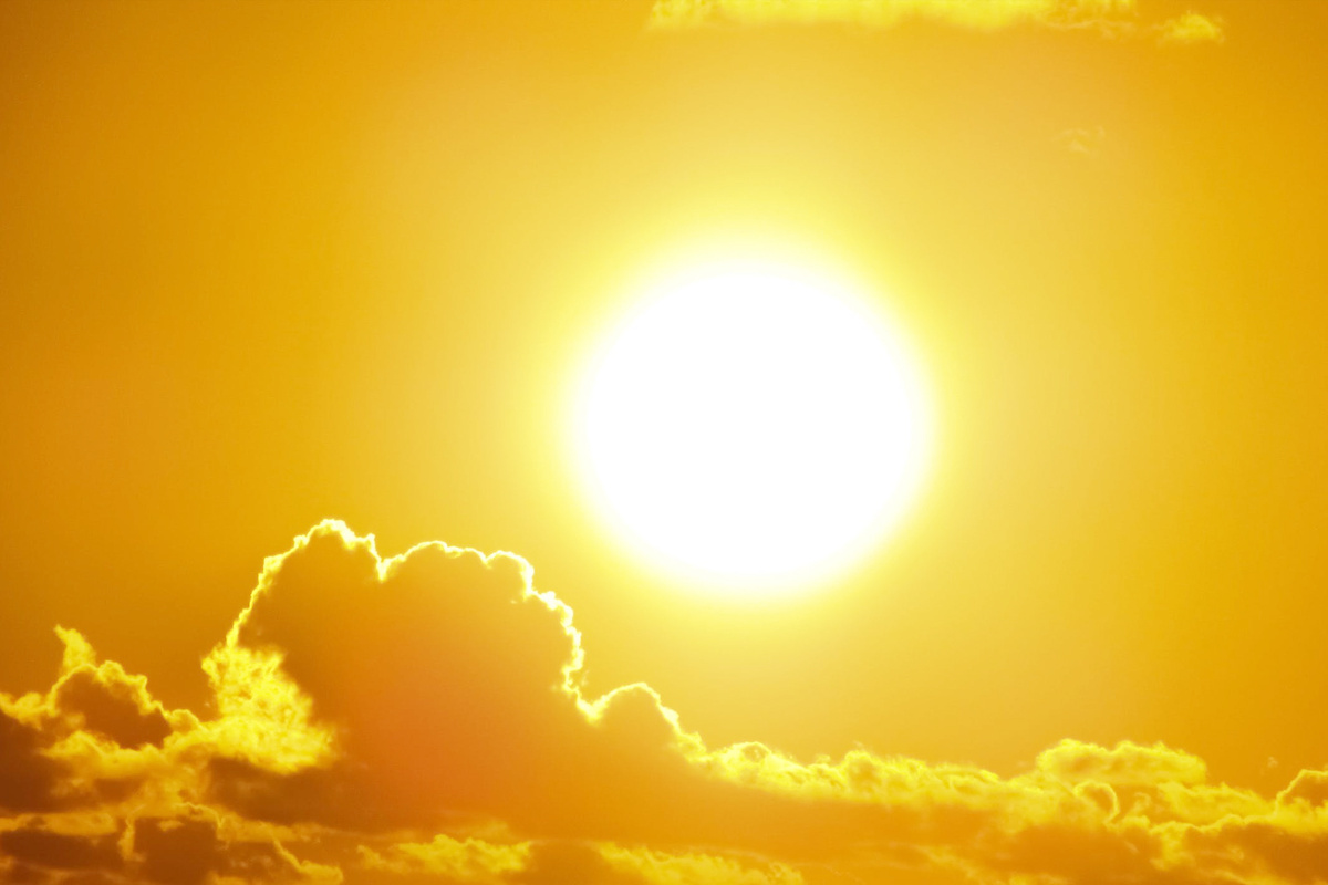 Изображение взято из открытых источников 