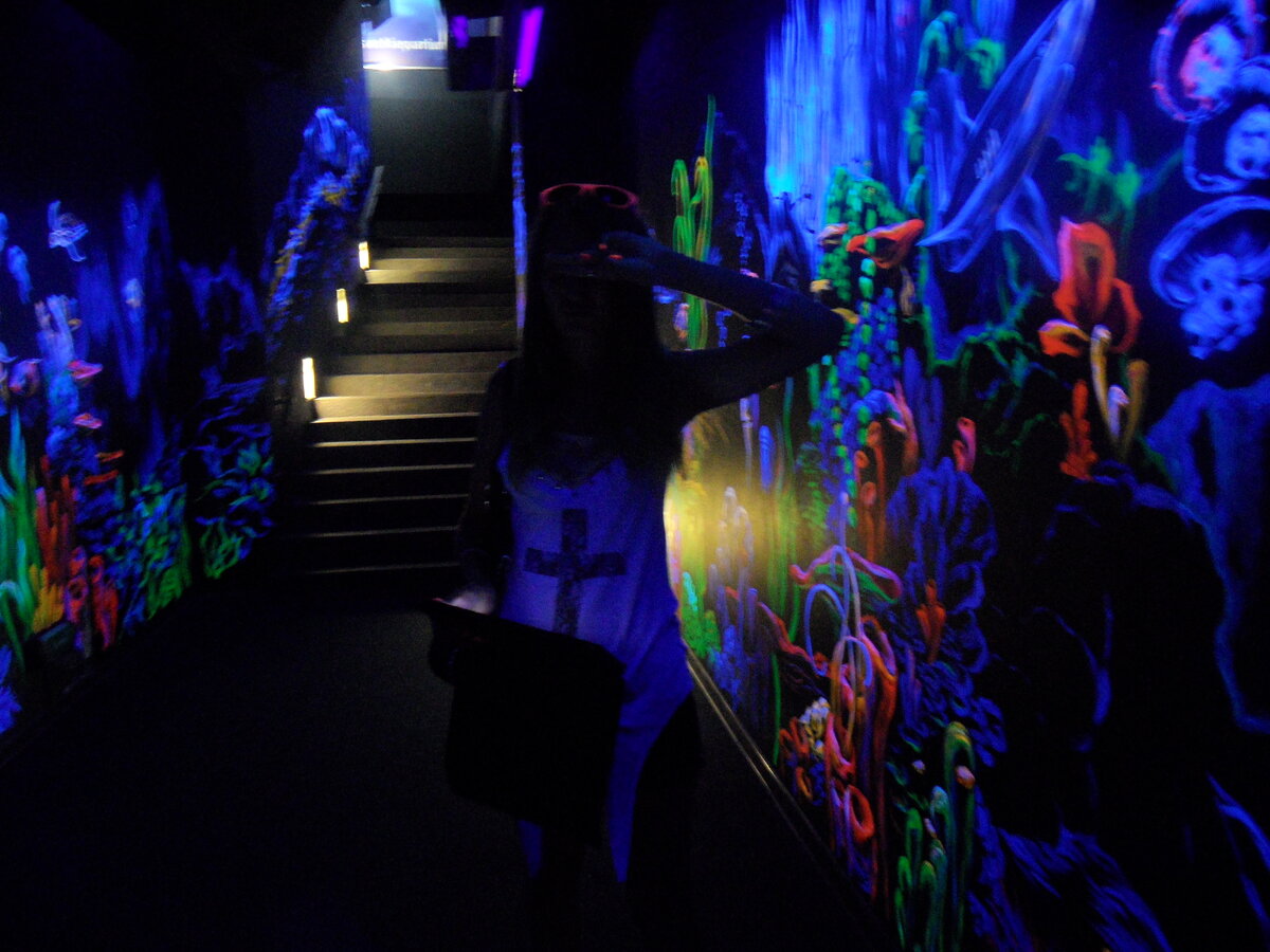 В Океанариуме г. Сочи