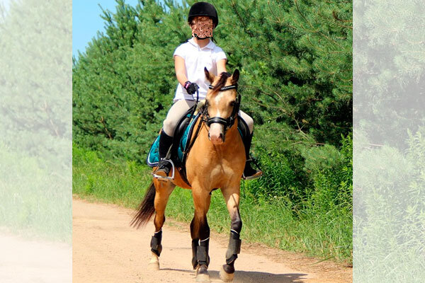 Источник фото сервис Яндекс.Картинки