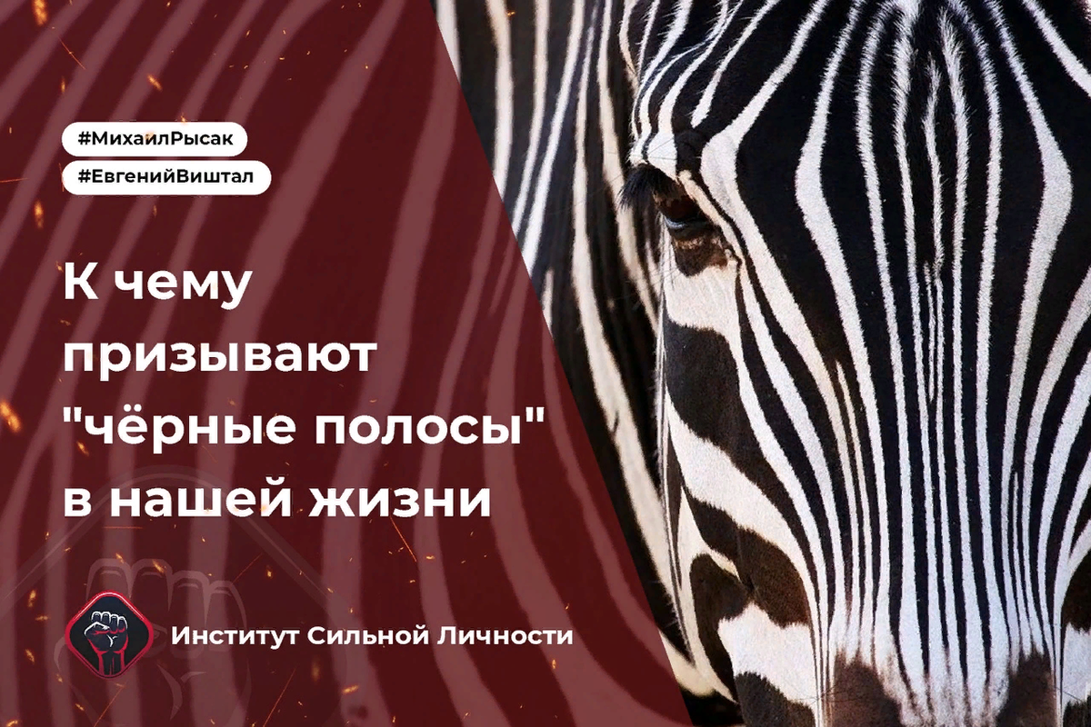 Фото взято из открытых источников