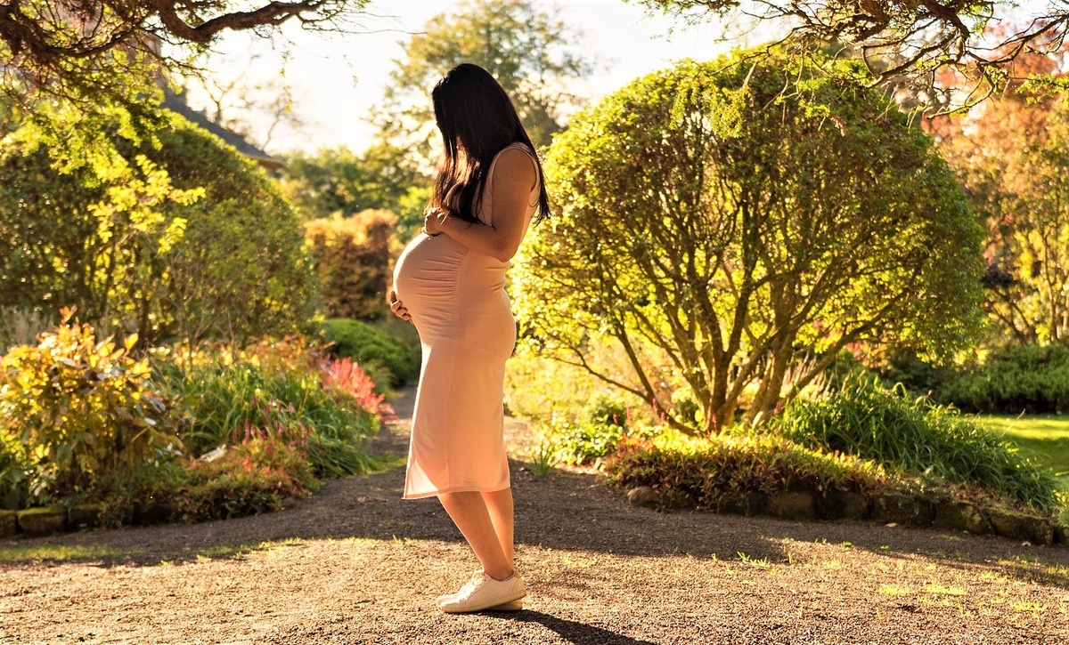 Фотография из свободного доступа "Яндекс-картинки"