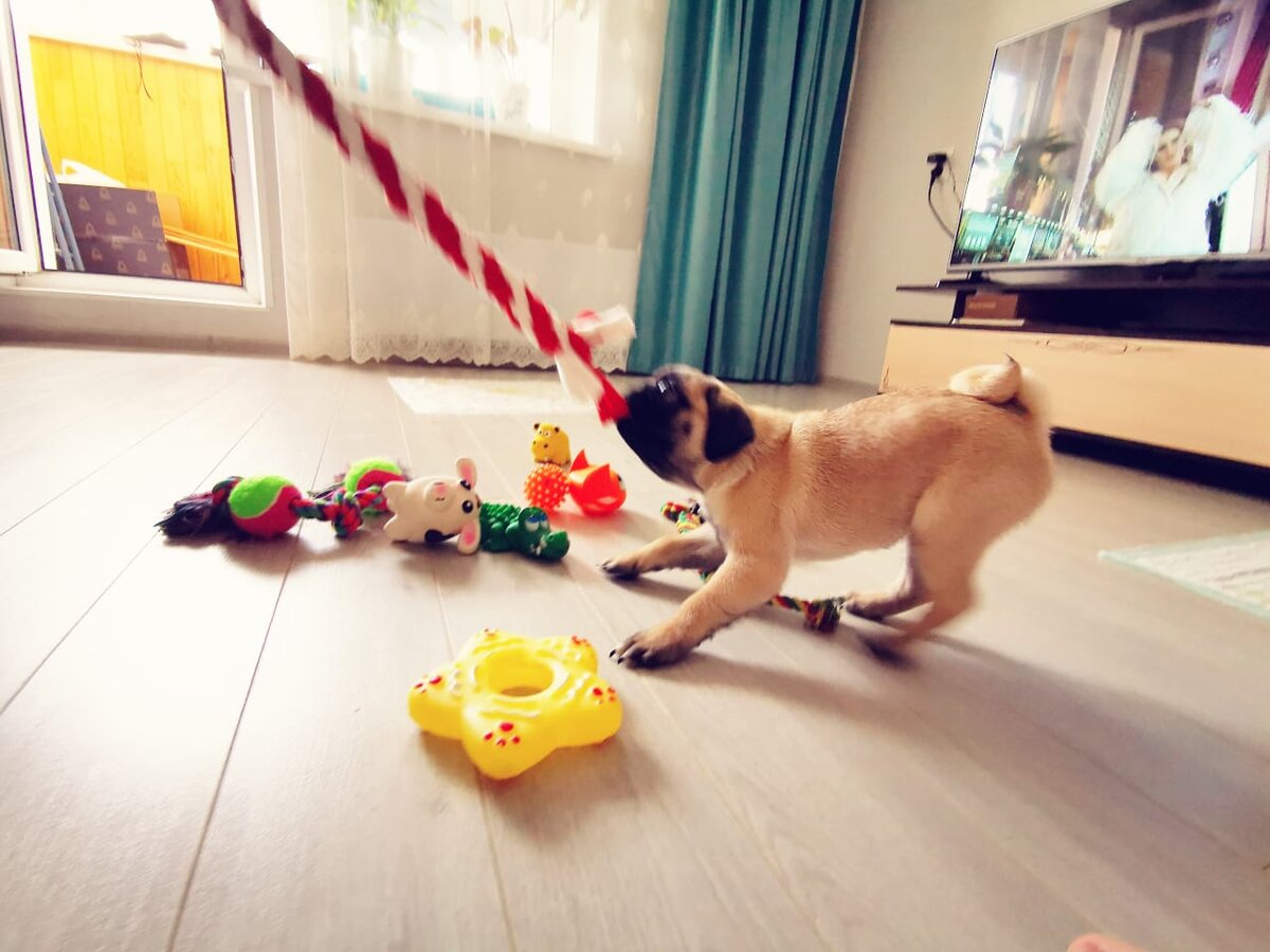 Фото: МОПС NEWS