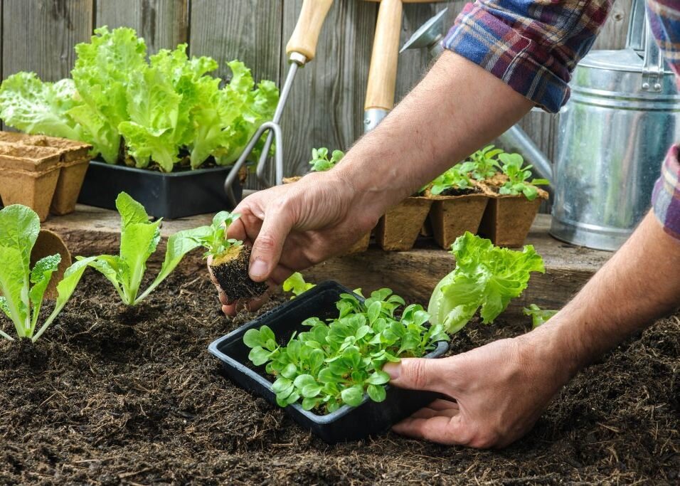 работа в огороде