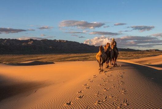 Пустыня Гоби, Монголия. Фото: tripadvisor.ru