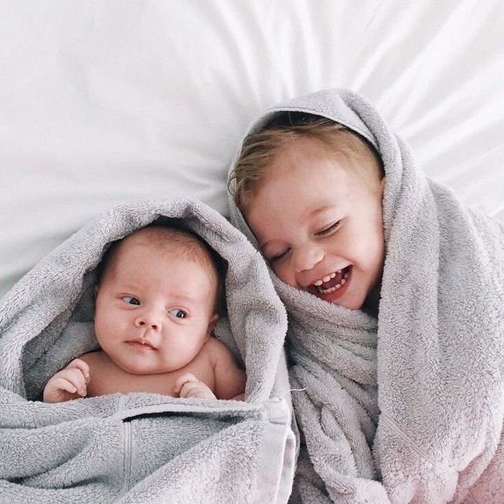 Источник: поисковая система Яндекс