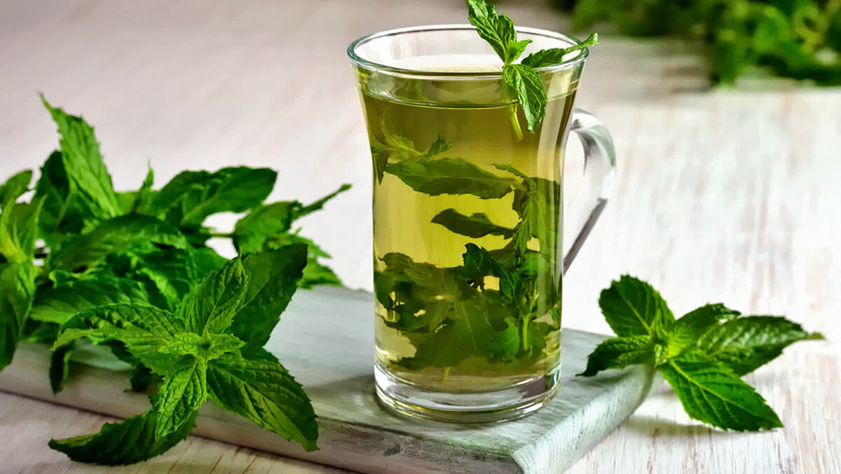 фото из свободного доступа Яндекс картинки