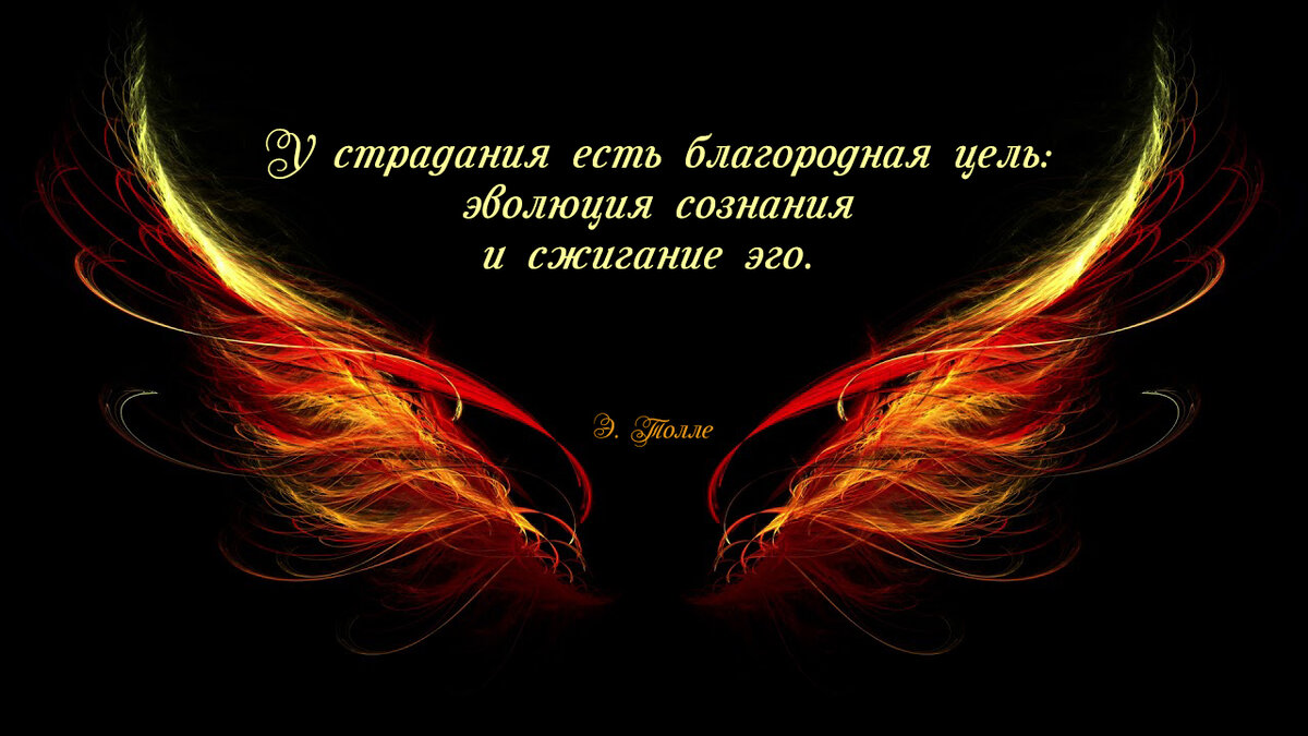 Благородная миссия. Благородная миссия. Селиваниховская сош минусинский район. Благородная миссия. Селиваниховская сош минусинский район.