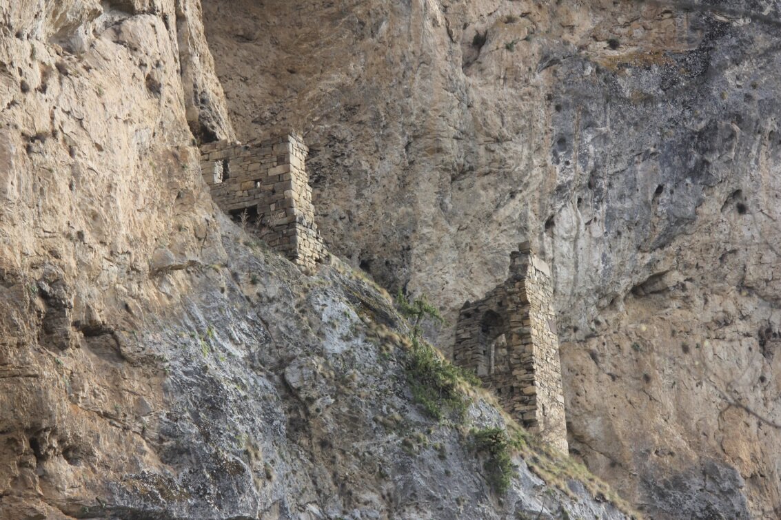 картинка из яндекс дзен